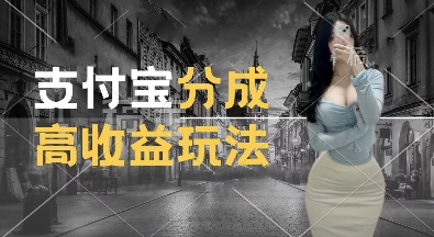 支付宝分成计划新玩法，利用交通事故视频，赚收益，轻松月入过W，操作简单【揭秘】-网赚项目众筹网
