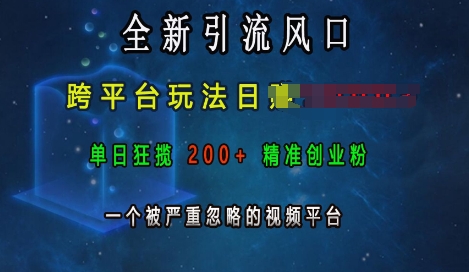 全新引流风口，跨平台玩法日入上k，单日狂揽200+精准创业粉，一个被严重忽略的视频平台-网赚项目众筹网