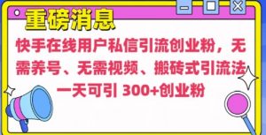 快手最新引流创业粉方法,无需养号、无需视频、搬砖式引流法【揭秘】-网赚项目众筹网