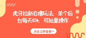 虎牙拉新自撸玩法,单个后台每天100+,可批量操作-网赚项目众筹网