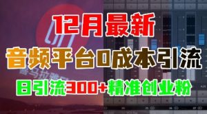 12月最新:音频平台0成本引流,日引流300+精准创业粉-网赚项目众筹网
