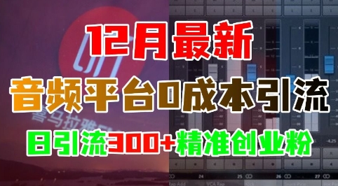 12月最新：音频平台0成本引流，日引流300+精准创业粉-网赚项目众筹网