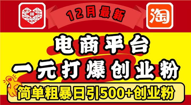 12月最新：电商平台1元打爆创业粉，简单粗暴日引500+精准创业粉，轻松月入过W【揭秘】-网赚项目众筹网
