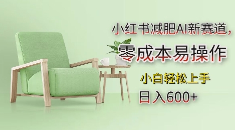 小红书减肥AI新赛道，零成本易操作，日入多张，小白轻松上手【揭秘】-网赚项目众筹网