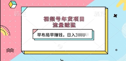 视频号年货项目，流量贼猛，早布局早挣钱，日入上k【揭秘】-网赚项目众筹网