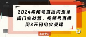 2024视频号直播间爆单闭门实战营,视频号直播间3天闪电实战课-网赚项目众筹网
