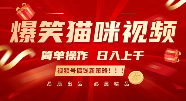 爆笑猫咪视频：简单操作，日入过K，视频号搞钱新策略【揭秘】-网赚项目众筹网