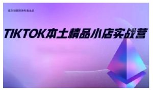 TikTok本土精品小店出海实战营,从入门到高阶,不止0-1!-网赚项目众筹网
