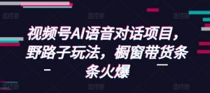视频号AI语音对话项目,野路子玩法,橱窗带货条条火爆-网赚项目众筹网