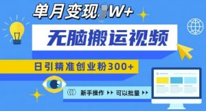 无脑搬运视频号可批量复制,新手即可操作,日引精准创业粉300+,月变现过W 【揭秘】-网赚项目众筹网