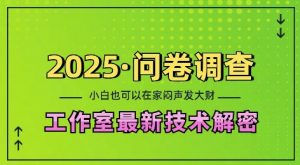 2025问卷调查最新工作室技术解密:一个人在家也可以闷声发大财,小白一天2张,可矩阵放大【揭秘】-网赚项目众筹网