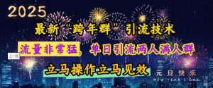 最新“跨年群”引流，流量非常猛，单日引流两人满人群，立马操作立马见效【揭秘】-网赚项目众筹网