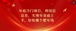 年底冷门项目,利用信息差,实现零基础上手,轻松赚个肥年钱【揭秘】-网赚项目众筹网