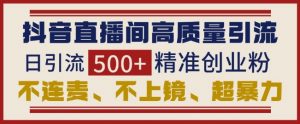 抖音直播间引流创业粉,无需连麦、不用上镜、超暴力,日引流500+高质量精准创业粉-网赚项目众筹网