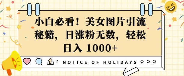 小白必看，美女图片引流秘籍，日涨粉无数，轻松日入几张【揭秘】-网赚项目众筹网