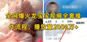 全网爆火龙宝宝视频全套操作流程，播放量2000万+-网赚项目众筹网