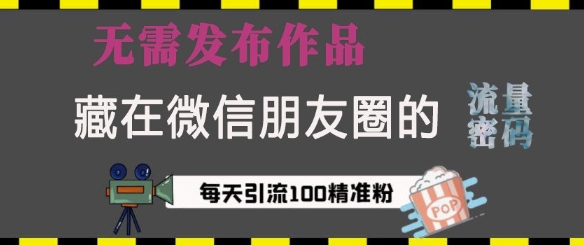 藏在微信朋友圈的流量密码，无需发布作品，单日引流100+精准创业粉【揭秘】-网赚项目众筹网