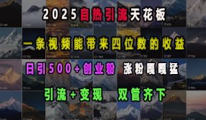 2025自热引流天花板,一条视频能带来四位数的收益,引流+变现双管齐下,日引500+创业粉,涨粉嘎嘎猛-网赚项目众筹网