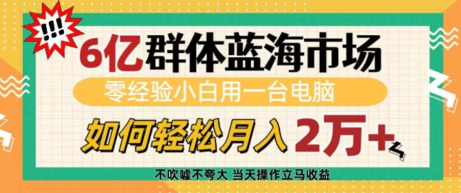 6亿群体蓝海市场，零经验小白用一台电脑，如何轻松月入过w【揭秘】-网赚项目众筹网