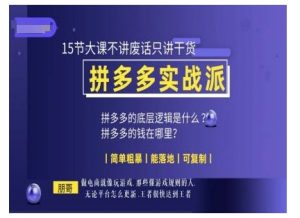 朋哥电商(拼多多实战派),15节大课不讲废话只讲干货,简单粗暴 能落地 可复制-网赚项目众筹网