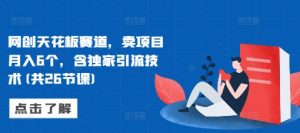 网创天花板赛道,卖项目月入6个,含独家引流技术(共26节课)-网赚项目众筹网