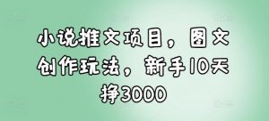 小说推文项目,图文创作玩法,新手10天挣3000-网赚项目众筹网