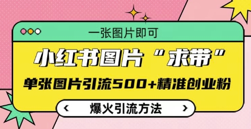 小红书图片‘求带’爆火引流法，单张图片引流500+精准创业粉【揭秘】-网赚项目众筹网