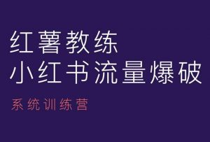 红薯教练-小红书内容运营课,小红书运营学习终点站-网赚项目众筹网