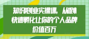 知识IP创业实操课,从0到1快速孵化让你的个人品牌价值百万-网赚项目众筹网