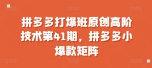 拼多多打爆班原创高阶技术第41期,拼多多小爆款矩阵-网赚项目众筹网