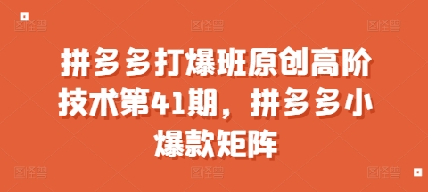 拼多多打爆班原创高阶技术第41期，拼多多小爆款矩阵-网赚项目众筹网