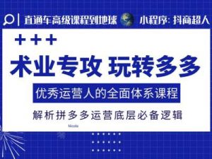 术业专攻玩转多多,优秀运营人的全面体系课程,解析拼多多运营底层必备逻辑-网赚项目众筹网