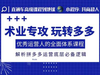 术业专攻玩转多多，优秀运营人的全面体系课程，解析拼多多运营底层必备逻辑-网赚项目众筹网