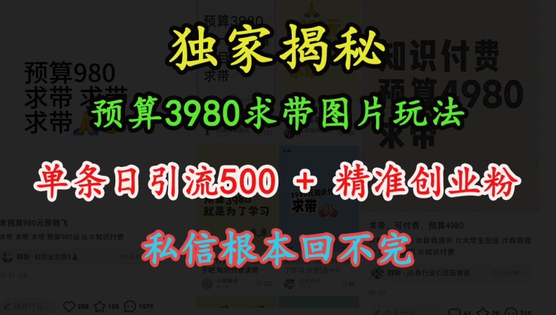 预算3980求带 图片玩法，单条日引流500+精准创业粉，私信根本回不完-网赚项目众筹网
