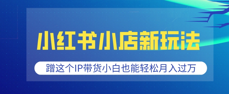 小红书小店新玩法，蹭这个IP带货，小白也能轻松月入过W【揭秘】-网赚项目众筹网