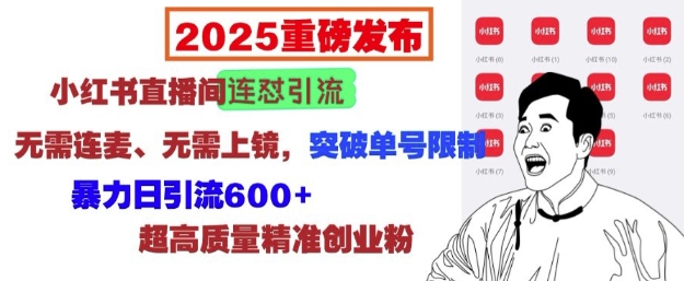 2025重磅发布：小红书直播间连怼引流，无需连麦、无需上镜，突破单号限制，暴力日引流600+-网赚项目众筹网