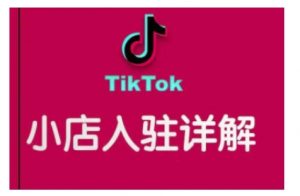 TikTok跨境小店运营全攻略,帮助你独立运营TK跨境小店的能力,实现销量增长-网赚项目众筹网