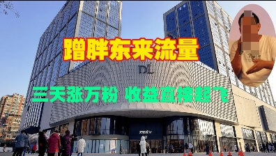 蹭胖东来流量，三天涨万粉，收益直接起飞-网赚项目众筹网