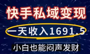 一天收入1691.5,快手私域变现,小白也能闷声发财-网赚项目众筹网