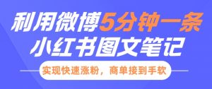 小红书利用微博5分钟一条图文笔记,实现快速涨粉,商单接到手软-网赚项目众筹网