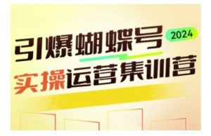 引爆蝴蝶号实操运营,助力你深度掌握蝴蝶号运营,实现高效实操,开启流量变现之路-网赚项目众筹网