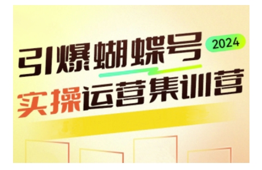 引爆蝴蝶号实操运营，助力你深度掌握蝴蝶号运营，实现高效实操，开启流量变现之路-网赚项目众筹网