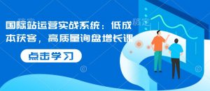 国际站运营实战系统:低成本获客,高质量询盘增长课-网赚项目众筹网