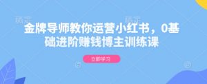 金牌导师教你运营小红书,0基础进阶赚钱博主训练课-网赚项目众筹网