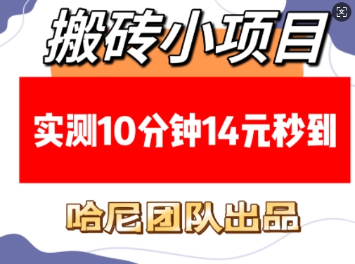 搬砖小项目，实测10分钟14元秒到，每天稳定几张(赠送必看稳定)-网赚项目众筹网