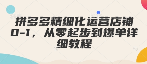 拼多多精细化运营店铺0-1，从零起步到爆单详细教程-网赚项目众筹网