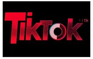 TikTok ads投流秘籍,涵盖tiktok整体投放思路,教你搭建测试计划-网赚项目众筹网