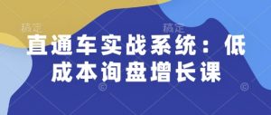 直通车实战系统:低成本询盘增长课,让个人通过技能实现升职加薪,让企业低成本获客,订单源源不断-网赚项目众筹网