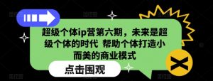 超级个体ip营第六期,未来是超级个体的时代  帮助个体打造小而美的商业模式-网赚项目众筹网