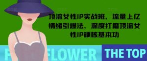 顶流女性IP实战班,流量上亿情绪引爆法,深度打磨顶流女性IP硬核基本功-网赚项目众筹网